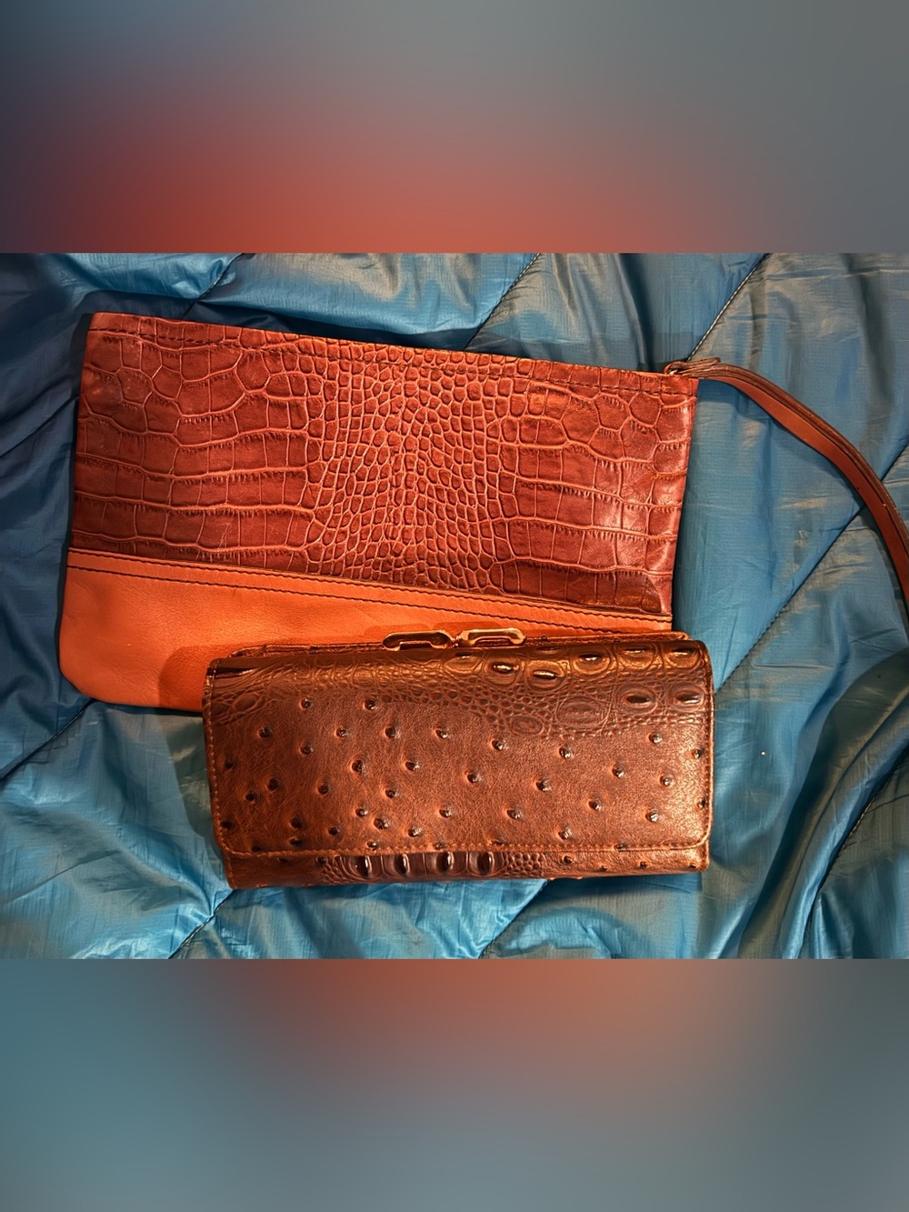 Wallet & clutch lot-NWOT